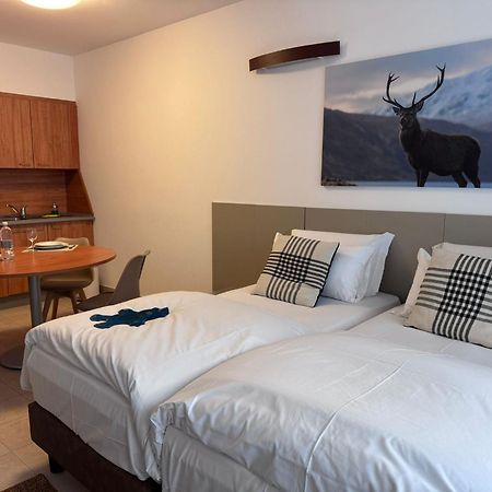 Base Camp Alpine Apartments 브루일서비니아 객실 사진